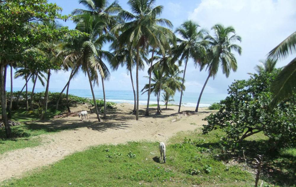 Brisas Doradas Cabarete Exterior photo